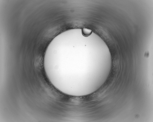 X0000093560079200710291028