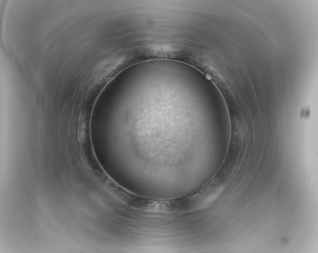 X0000093560080200710291028