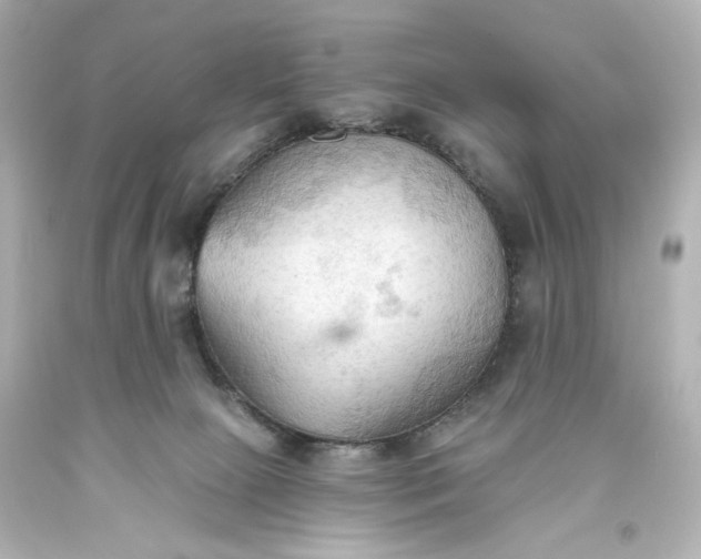 X0000093560081200710291028