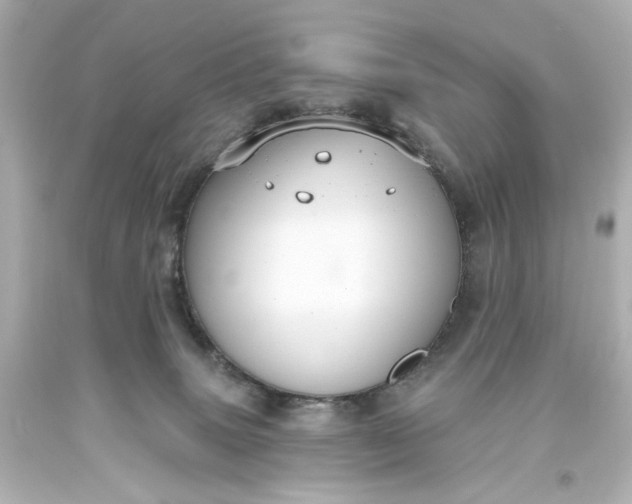 X0000093560083200710291028