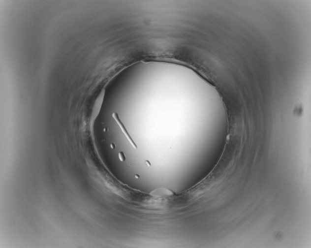 X0000093560084200710291028