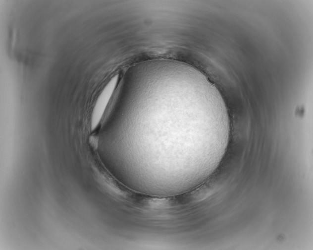 X0000093560085200710291028