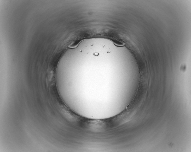 X0000093560087200710291028