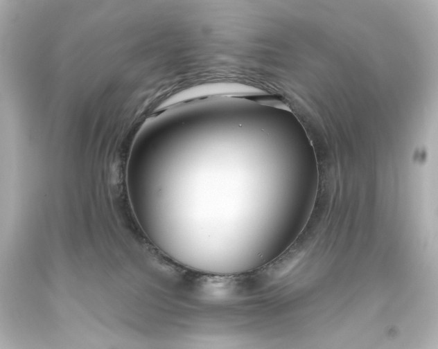 X0000093560088200710291028