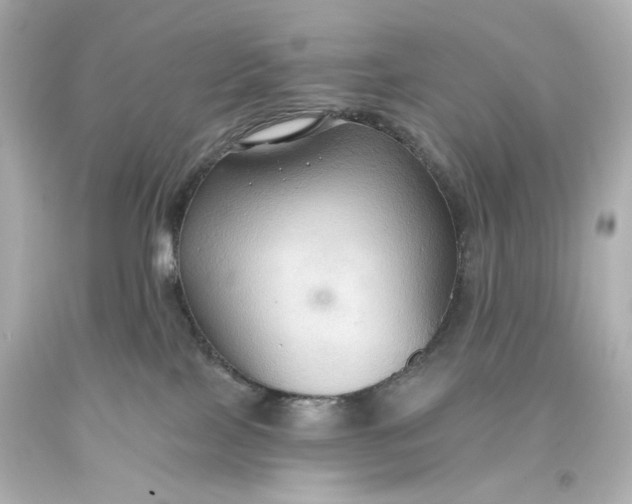 X0000093560089200710291028