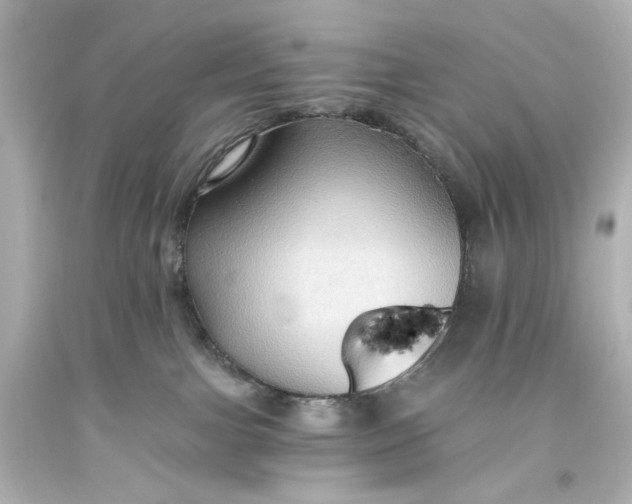 X0000093560091200710291028