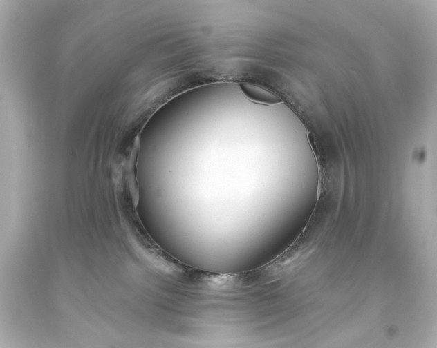 X0000093560092200710291028