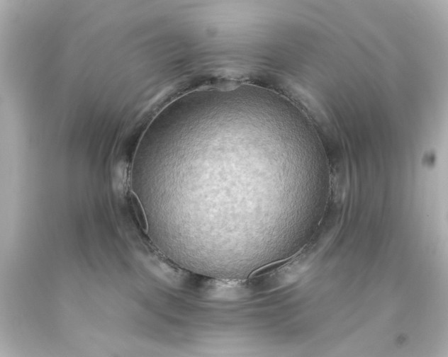 X0000093560093200710291028