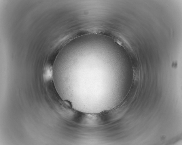 X0000093560095200710291028