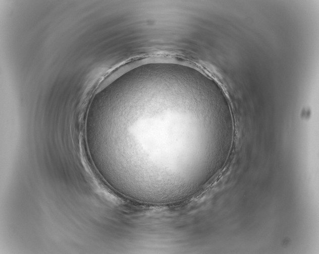 X0000093560097200710291027