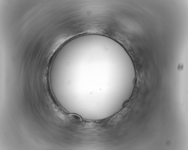 X0000093560098200710291027