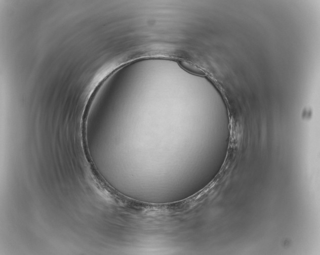 X0000093560099200710291027