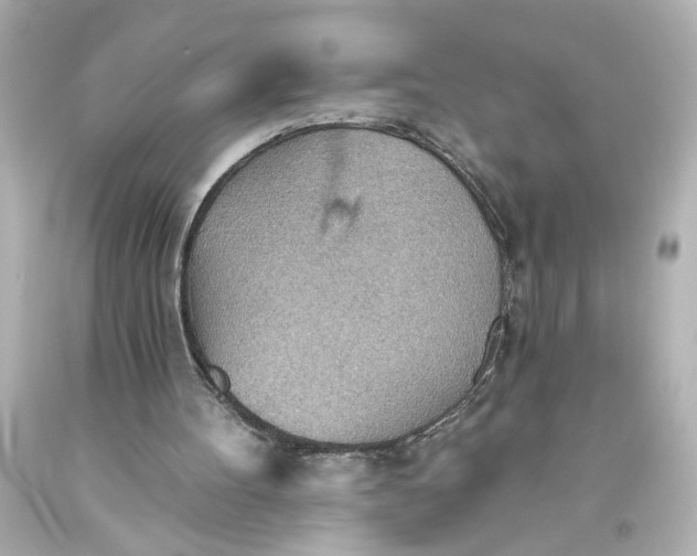 X0000093560100200710291027