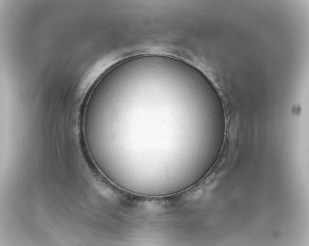 X0000093560103200710291027