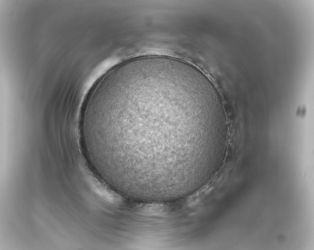 X0000093560104200710291027