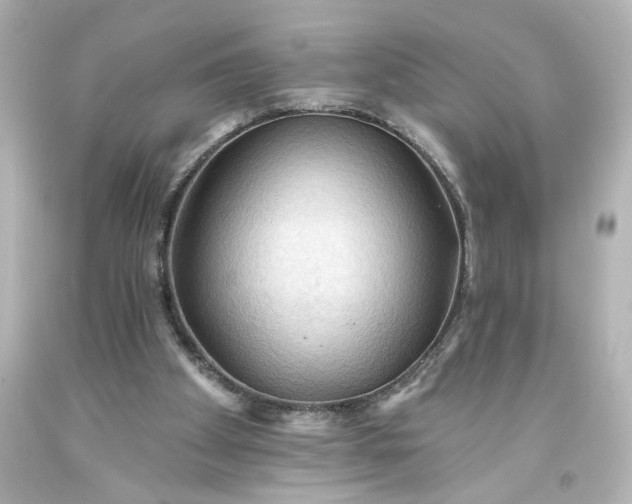 X0000093560105200710291027