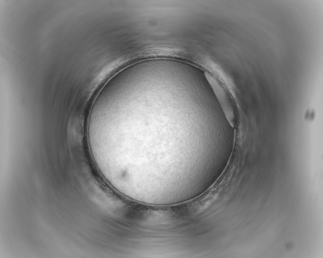 X0000093560107200710291027