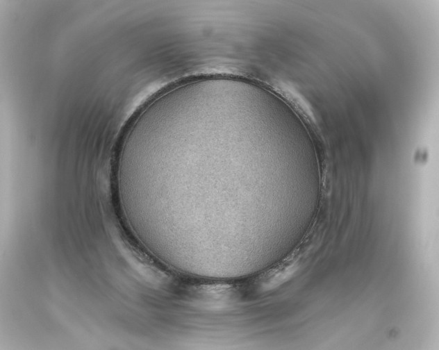 X0000093560108200710291027