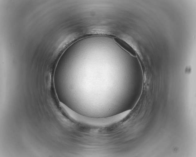 X0000093560109200710291027