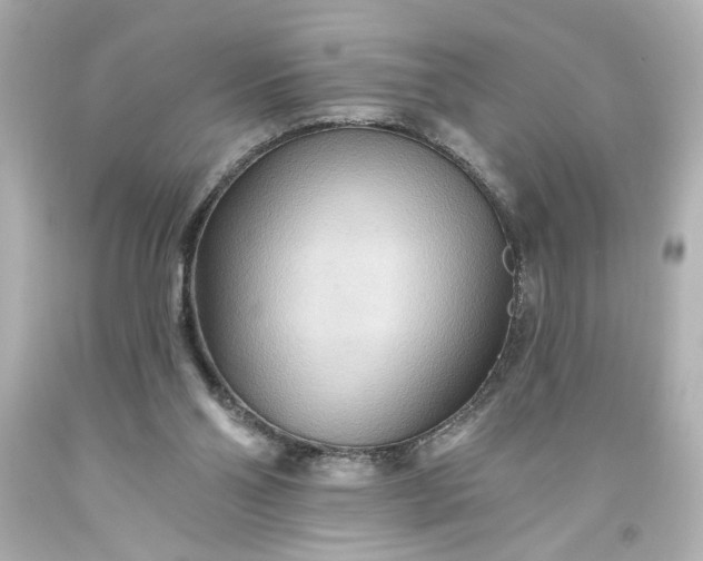 X0000093560110200710291027