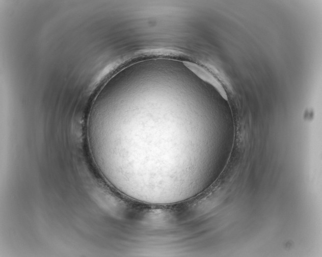 X0000093560111200710291027