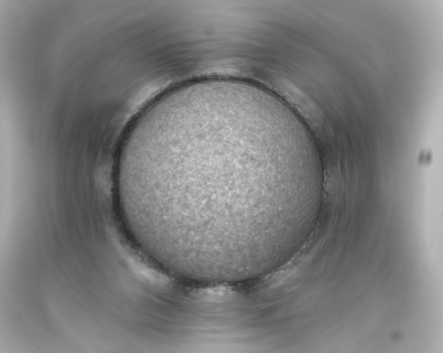 X0000093560112200710291027