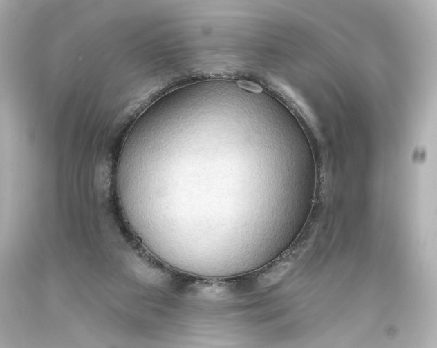 X0000093560113200710291027