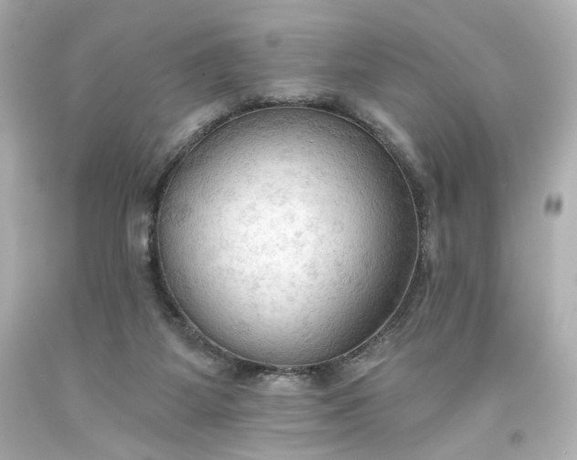 X0000093560115200710291027