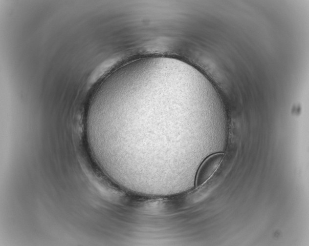 X0000093560116200710291027