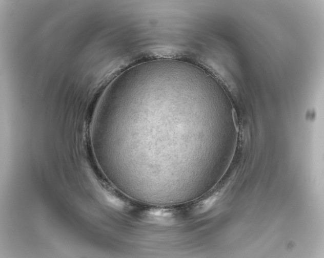 X0000093560117200710291027