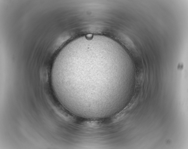 X0000093560120200710291027