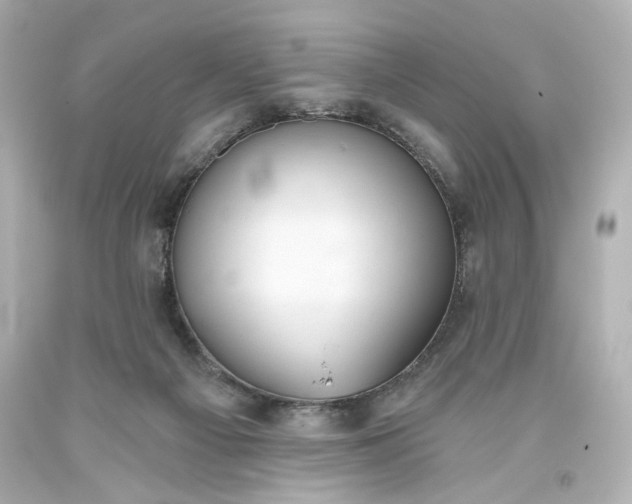 X0000093560121200710291027