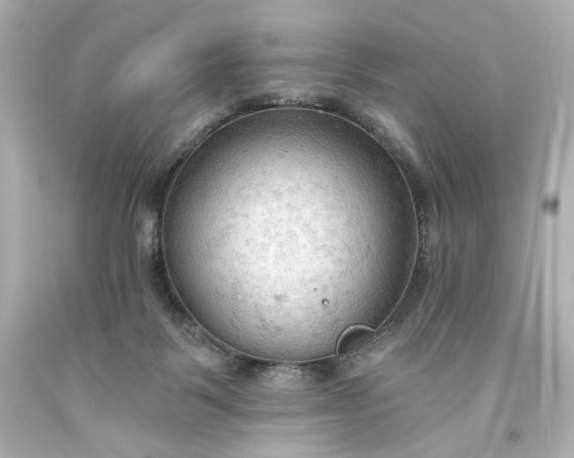 X0000093560123200710291027