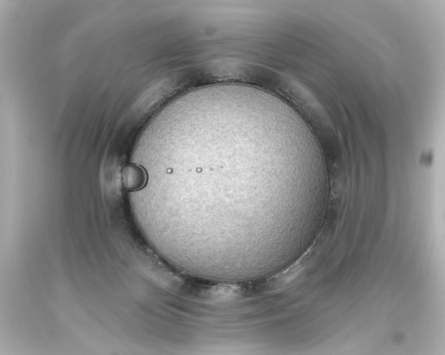 X0000093560124200710291027