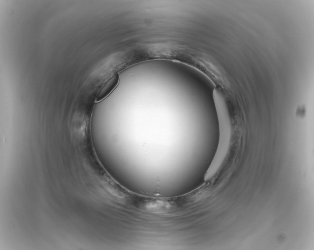 X0000093560125200710291027