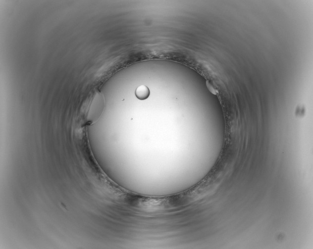 X0000093560129200710291027