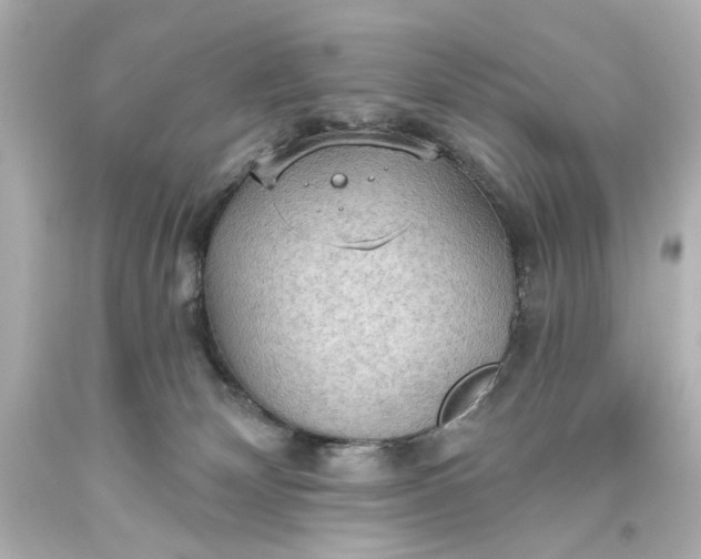 X0000093560132200710291027