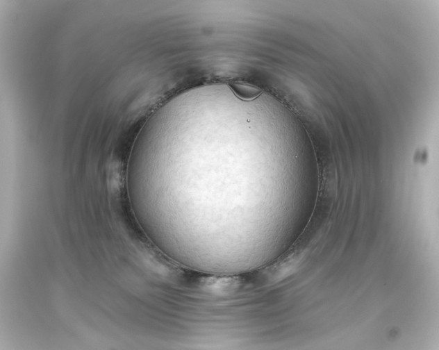 X0000093560135200710291027