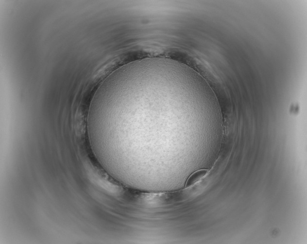 X0000093560136200710291027