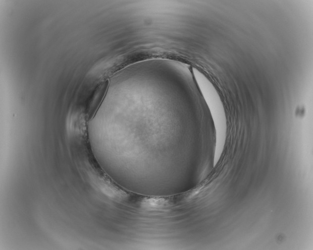 X0000093560137200710291027