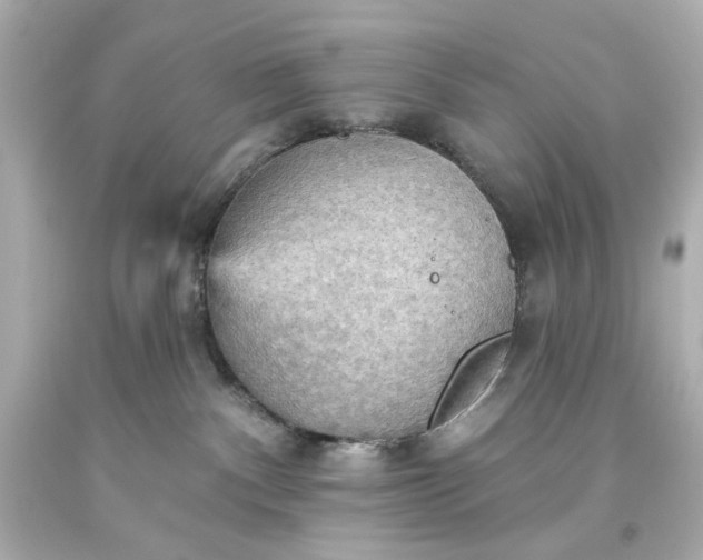 X0000093560140200710291027