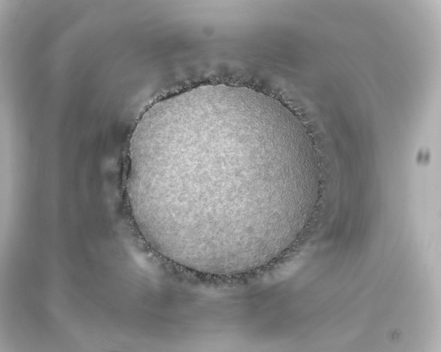 X0000093560144200710291027