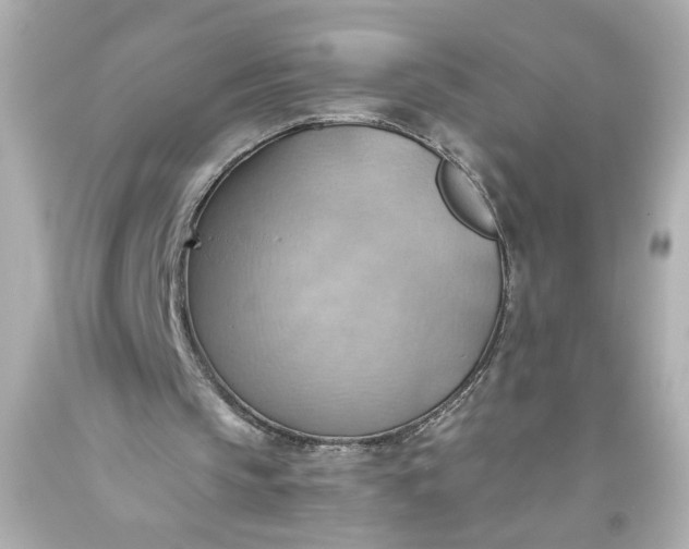 X0000093560145200710291026