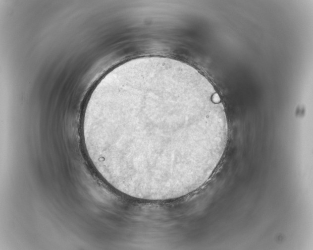 X0000093560146200710291026