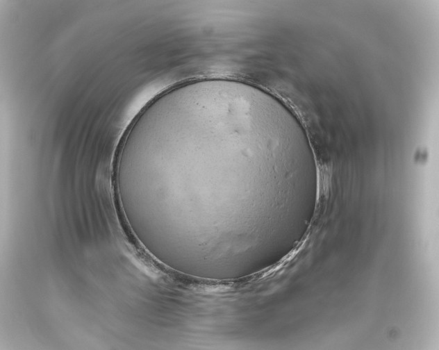 X0000093560147200710291026