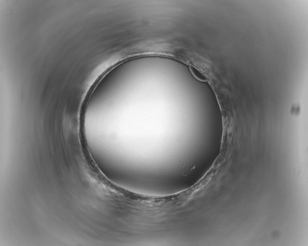 X0000093560148200710291026