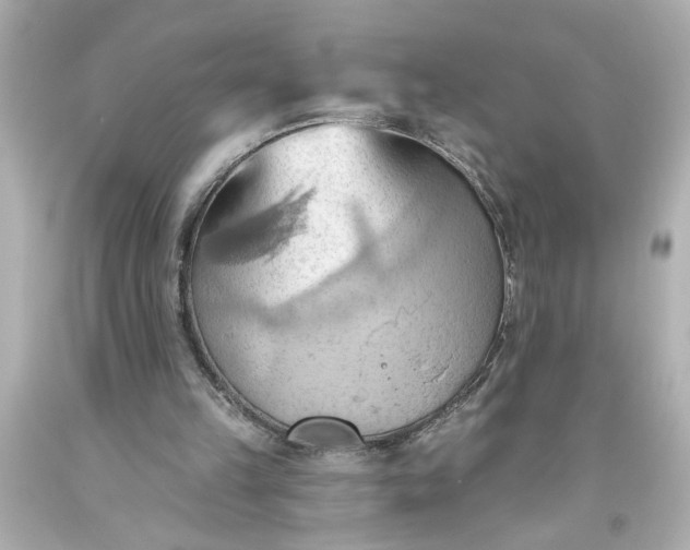 X0000093560149200710291026