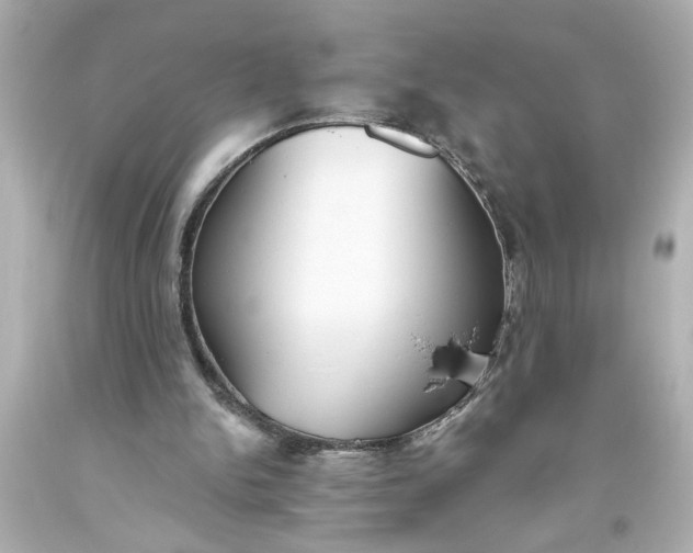 X0000093560150200710291026