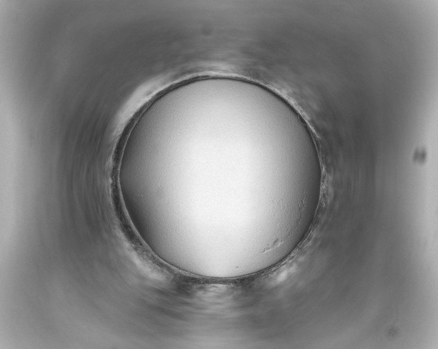 X0000093560151200710291026