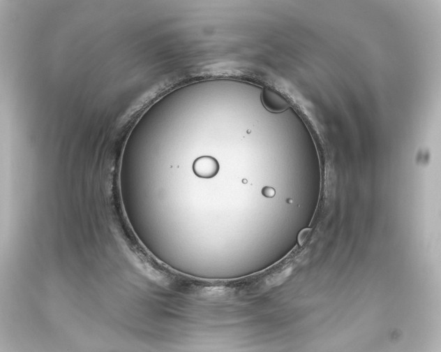 X0000093560153200710291026